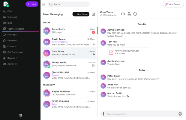 Team Messaging with File Share Screen shot of an active team message with conversation history and files share.